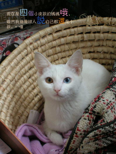 b妈妈02.jpg