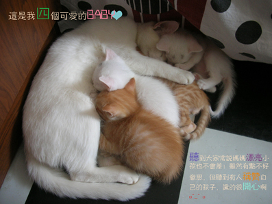 c合2.jpg