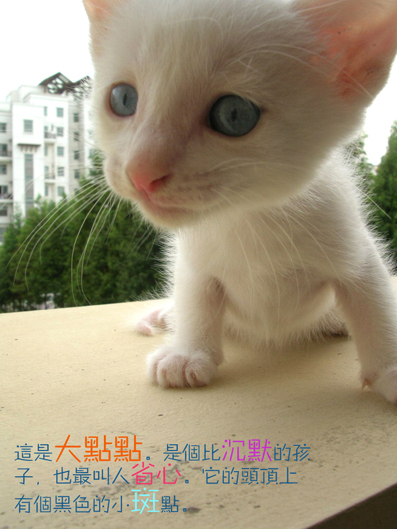 大点1.jpg