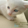 [��创�t�C]���֤k妈妈��记7