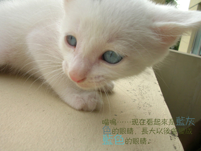大点2.jpg