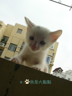 大点4.jpg
