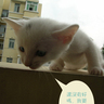[��创�t�C]���֤k妈妈��记9