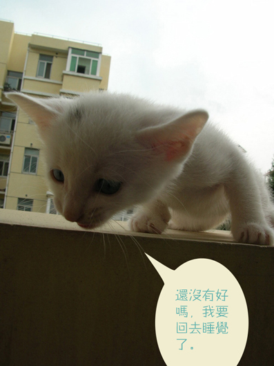 大点6.jpg