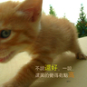 [��创�t�C]���֤k妈妈��记14