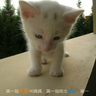 [��创�t�C]���֤k妈妈��记19
