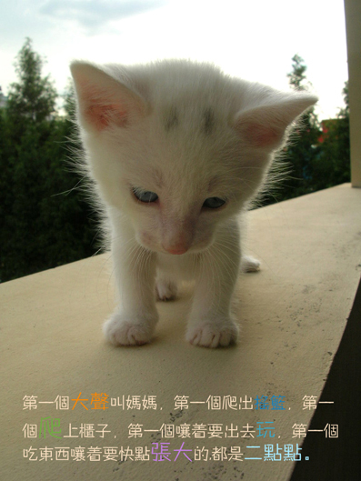 二点2.jpg