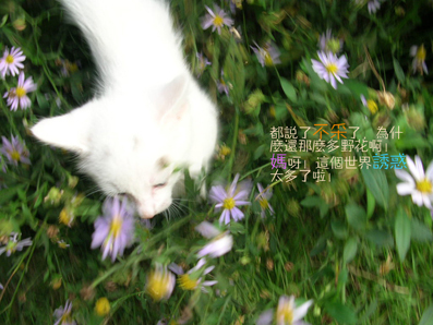 二点6.jpg