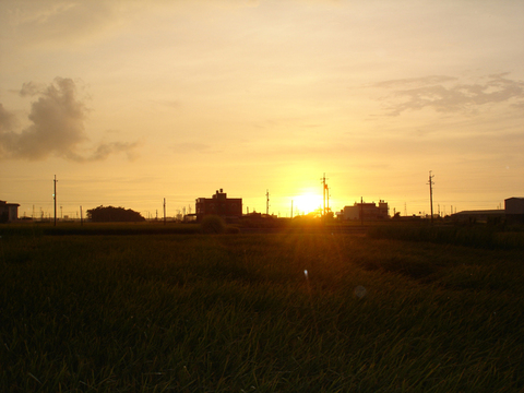 DSC03195.jpg