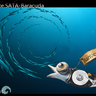 �Ʊ� Seagate����~~