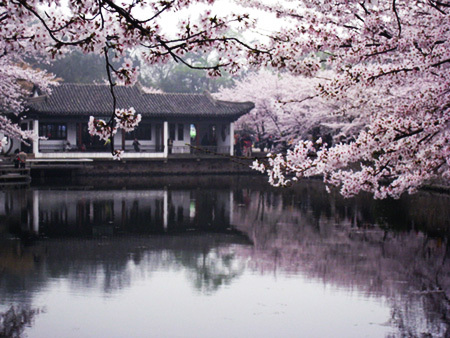 樱��1�ƥ�.jpg