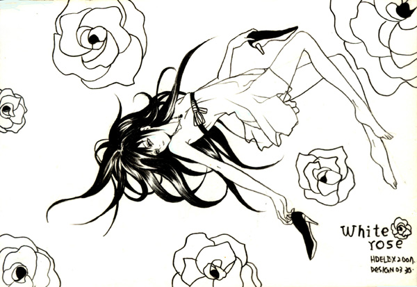 A White rose.jpg