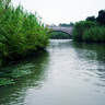 �i�F�a浜�j�C�O�X�XĪ�����]��2�^