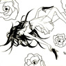 A White rose